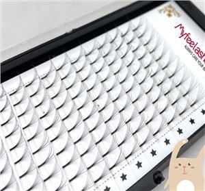 Lashes Braisle Bonn Fada